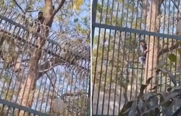 Kankaria Zoo