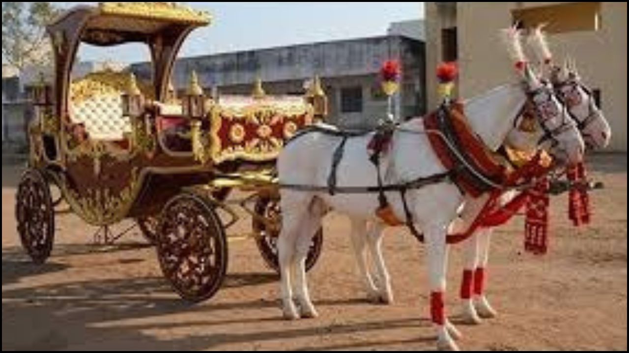 dalit groom