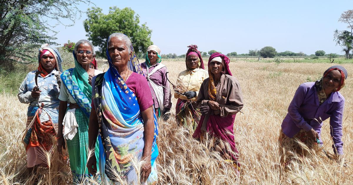 Gujarat Dalit woman fighting for land