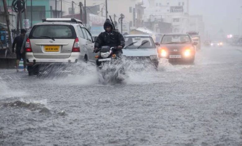 gujarat rain