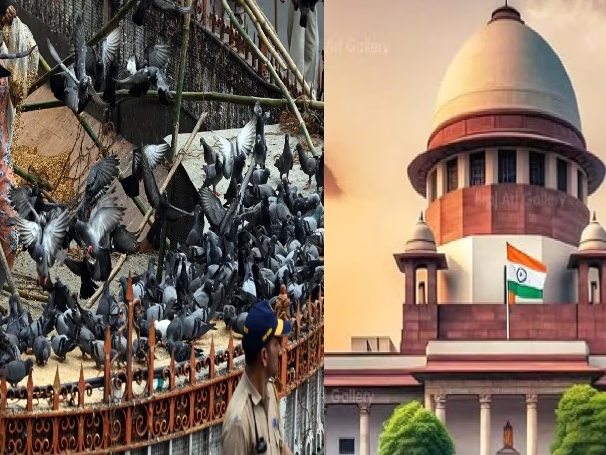 Supreme Court