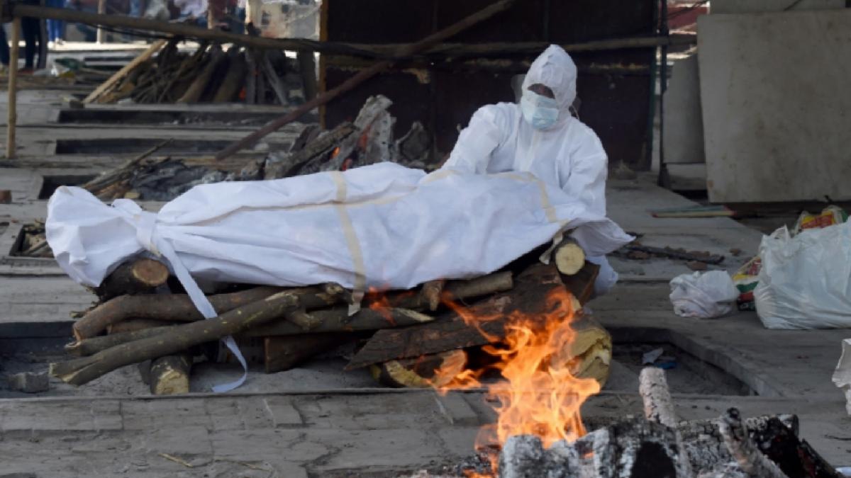 Corona death toll in Gujarat