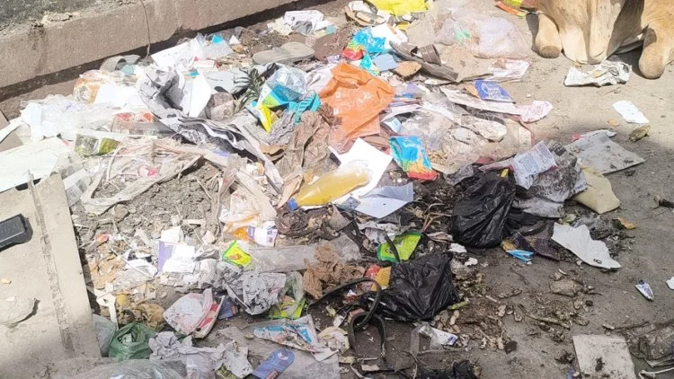 junagadh sanitation worker strike