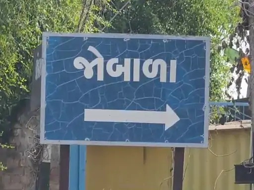 Surendranagars Zhobala news