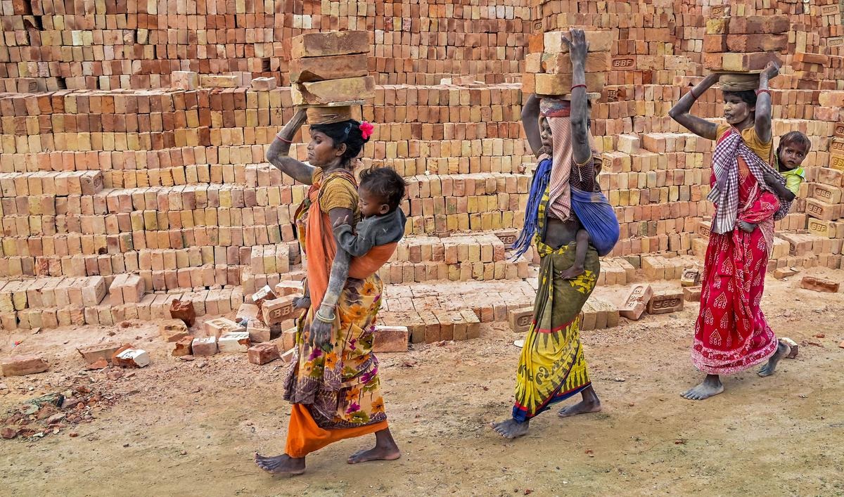 laborers in India are Dalit tribal OBC