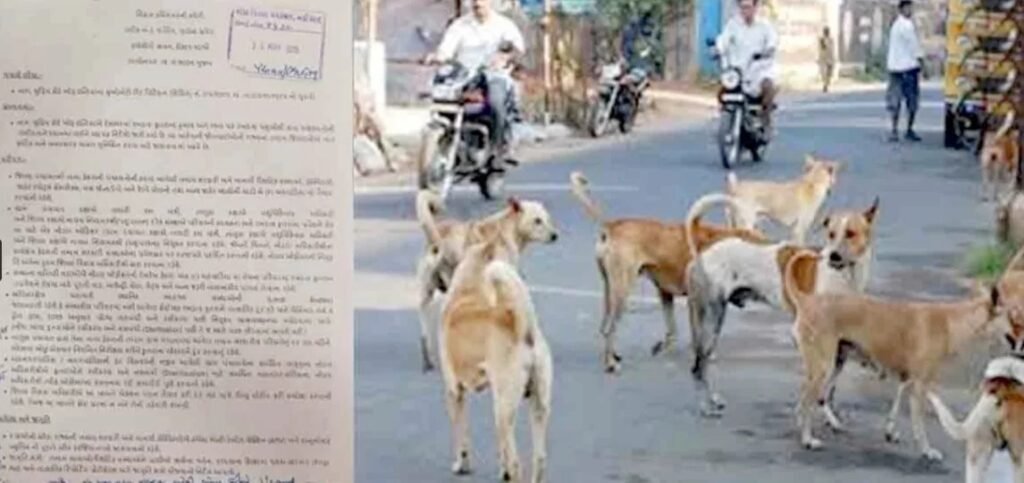 Gujarat Talatis task of finding dogs