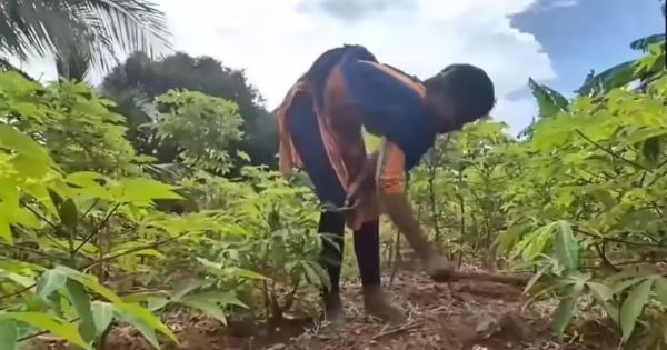 JEE Main Success Story of Tribal Girl Rohini