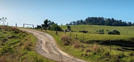 Dhaneras Runi village