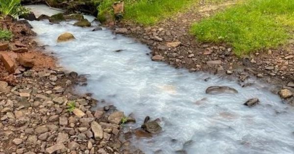 milk were consecrated in Narmada