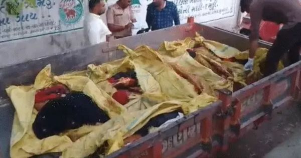 Lakhtar Viramgam highway accident