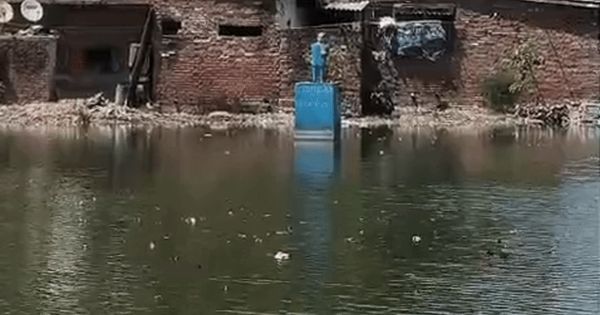 Dr. Ambedkars statue in dirty pond