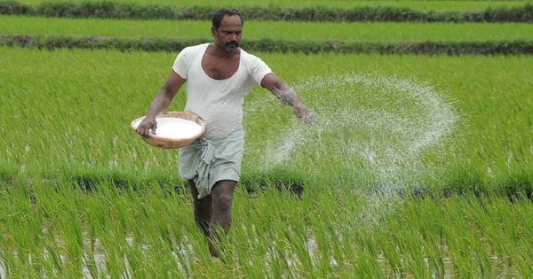 chemical fertilizers
