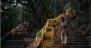 girnar boy was carried away by a lion