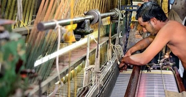 Weavers wreak havoc