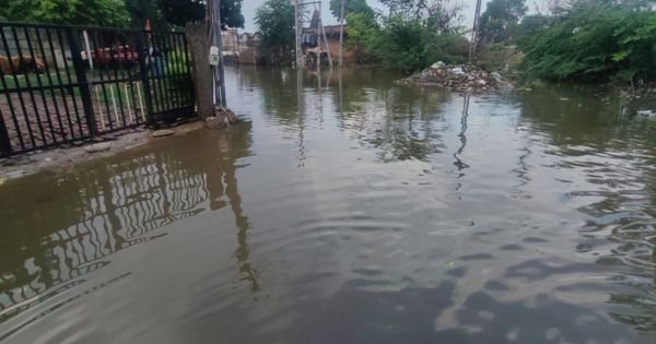 chaloda-village-dholka-dalit-colony-waterlogging-issue