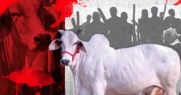 bengal bagdogra mob lynching